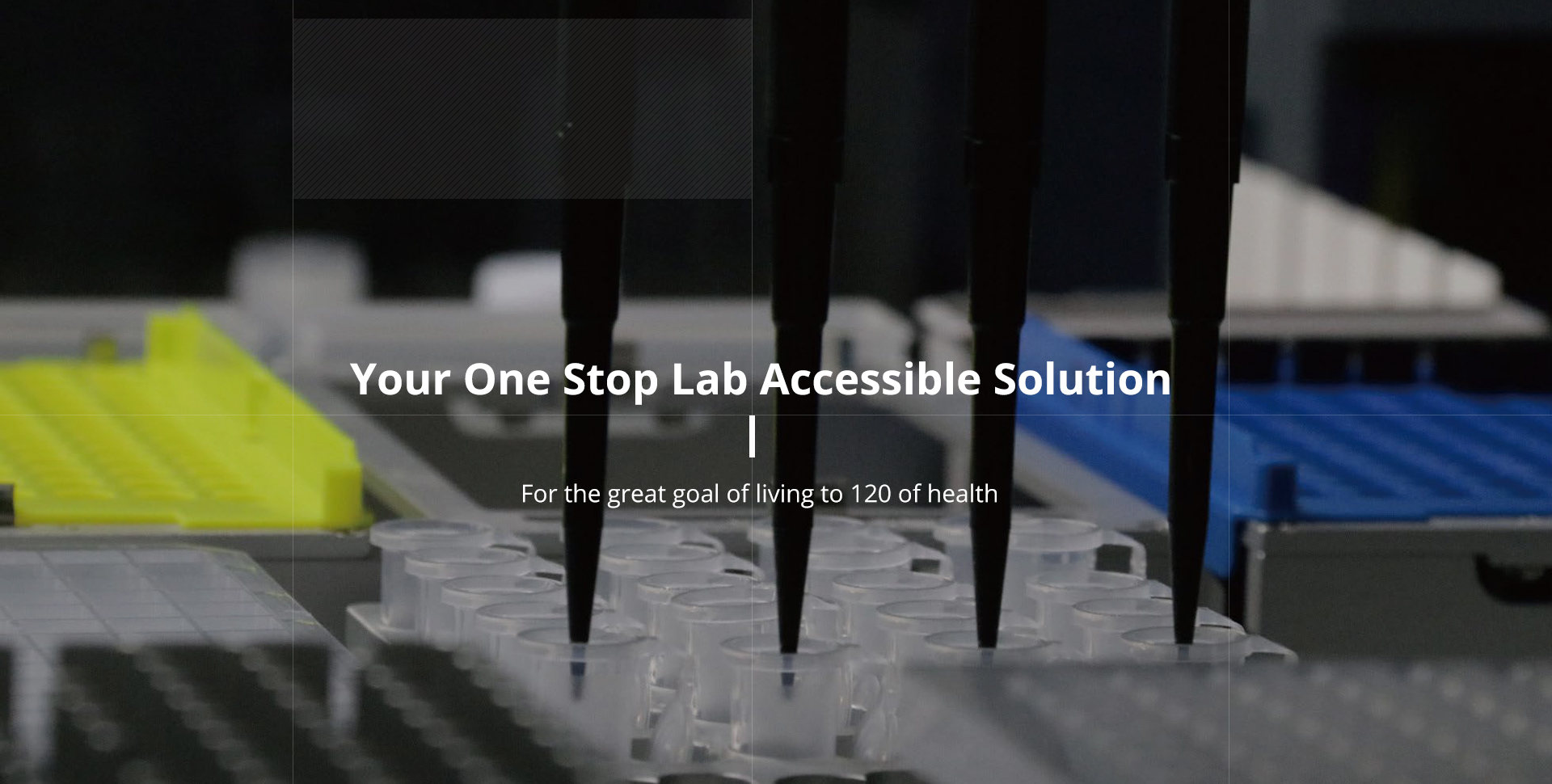 Pipette Tips, Centrifuge Tube, Biosafety Cabinet - LuoRon